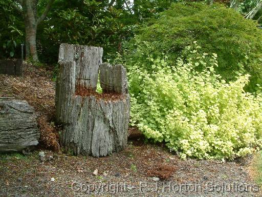 Rustic seat 